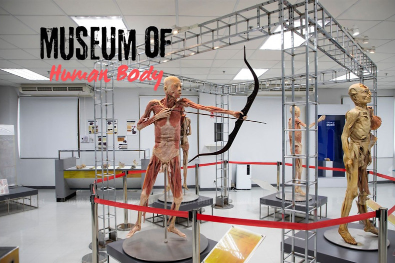 See anatomy like never before at Bangkok's Museum of Human Body
