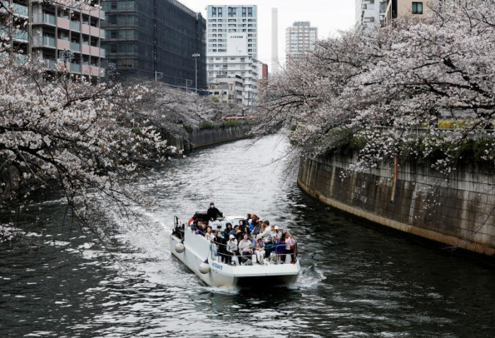Pricier fuel hits Tokyo cherry blossom river cruises ​