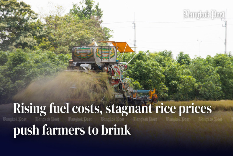 Rising fuel costs, stagnant rice prices push farmers to brink