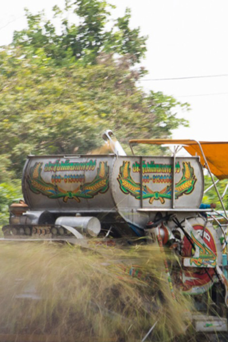 Rising fuel costs, stagnant rice prices push farmers to brink