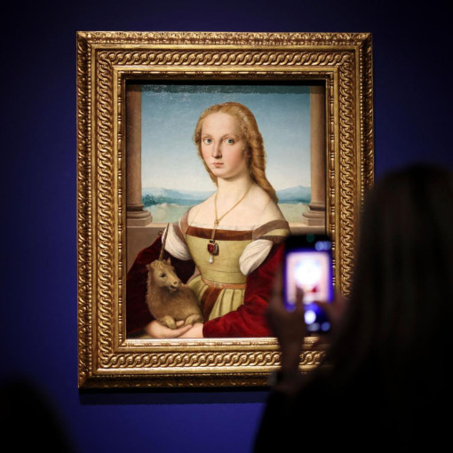 Renaissance master Raphael honoured by New York's Met