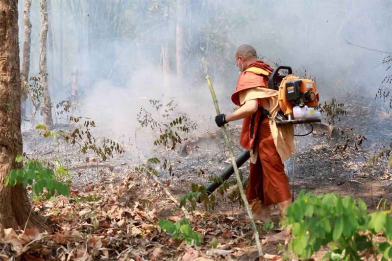 A monk does his part in controlling a wildfire in Samoeng district, Chiang Mai, on Sunday. (Photo: Panumet Tanraksa)