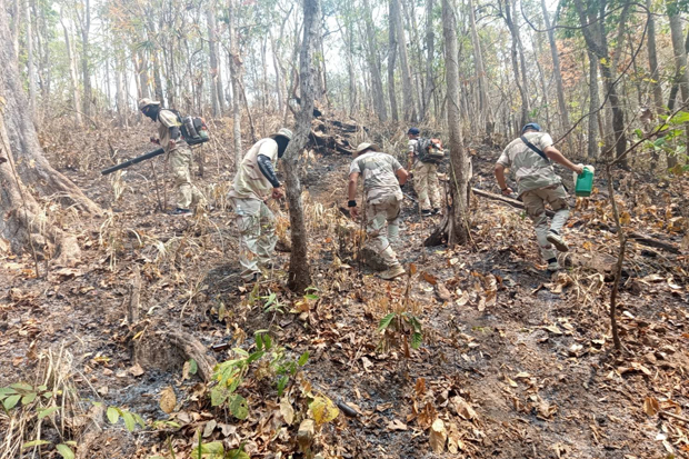 Volunteers based in Chiang Mai, assisted by volunteers from Pathum Thani, on bushfire patrol in San Sai district of Chiang Mai on Monday. (Photo: PR Chiang Mai Facebook account)