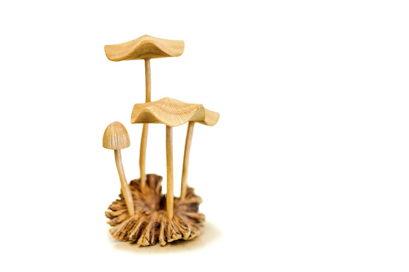 A rendering of psilocybin, or magic mushrooms, at the Centre for Psychedelic and Consciousness Research at Johns Hopkins Bayview Medical Centre in Baltimore, on May 6, 2021. (Photo: New York Times)