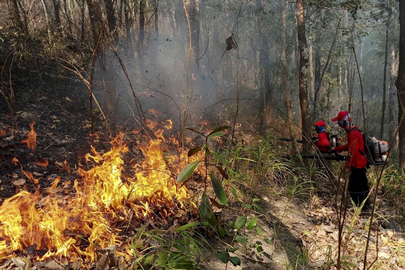 Firefighters from the Huai Hong Khrai–Khun Mae Kuang forest fire control station extinguish a wildfire in the Khun Mae Kuang Forest Development Project area in tambon Pa Miang of Doi Saket district, Chiang Mai, on April 1. The blaze damaged about 15 rai of forest land. (Photo: Forest Fire Control Division) 