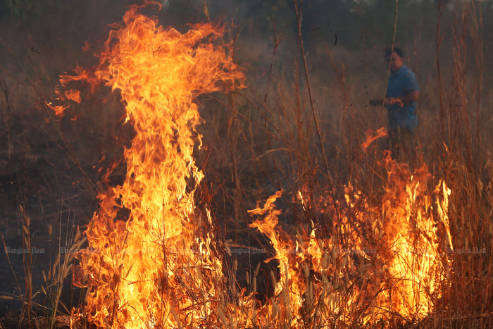 Arkansas Wildfires 2026: The Overlooked Health Hazards of Smoke Exposure in Rural Communities