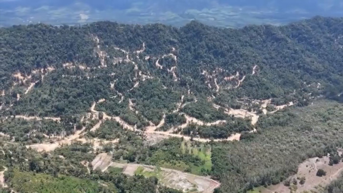 Thailand is failing its forests