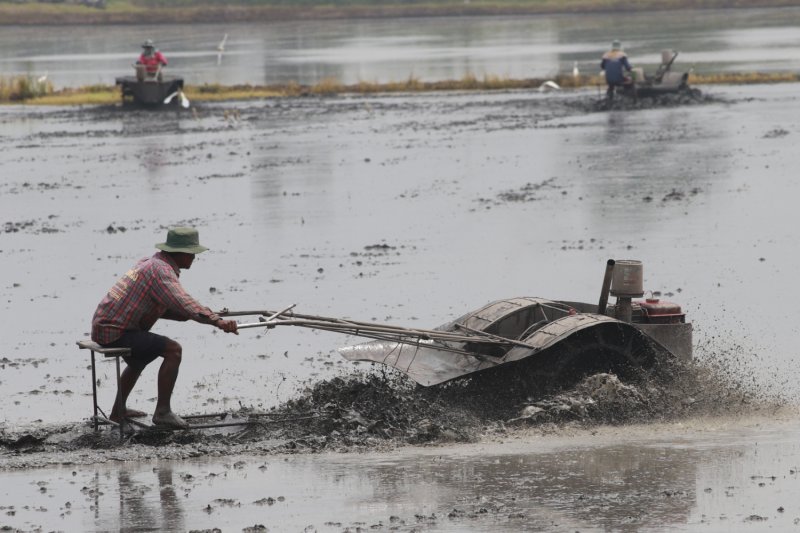 Farmers in Lat Lum Kaeo district of Pathum Thani plough their fields to prepare the soil for the rainy season, in May 2025. (Bangkok Post file photo)