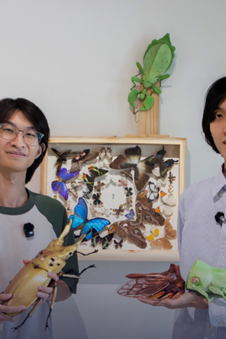 Private insect museum launched in Bangkok to reconnect city residents with nature