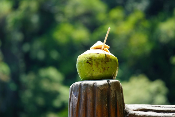 Coconut water: the natural health drink for Thailand’s brutal heat