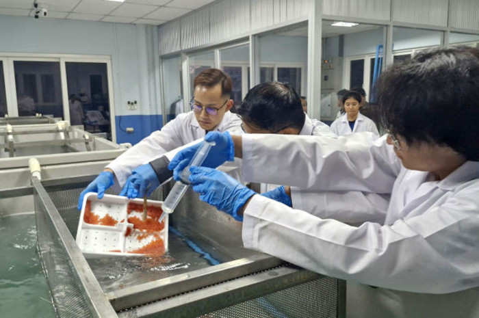 Fish farm  study shows  potential