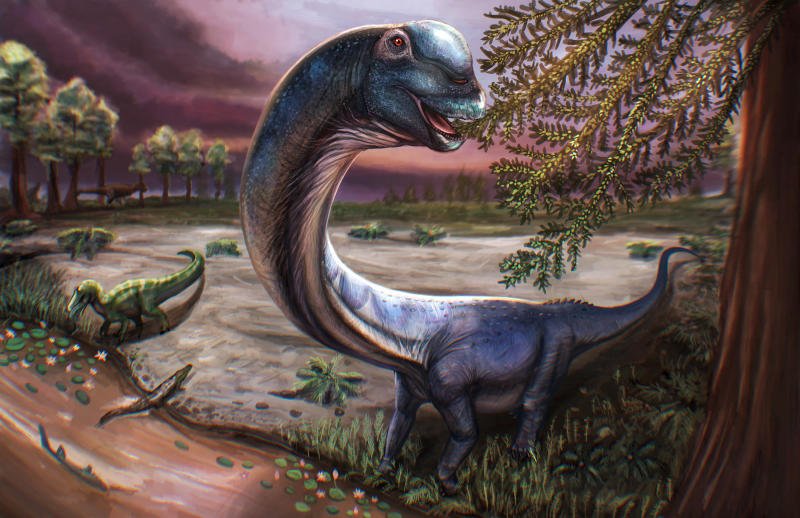 Artist reconstruction of the Cretaceous Period sauropod dinosaur Nagatitan chaiyaphumensis, whose fossils were unearthed in Chaiyaphum province, seen in this illustration released on Thursday. Nagatitan is the largest dinosaur ever found in Southeast Asia. (Handout via Reuters)
