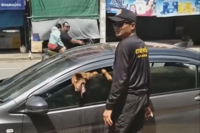 Two dogs rescued from sweltering car at Korat market