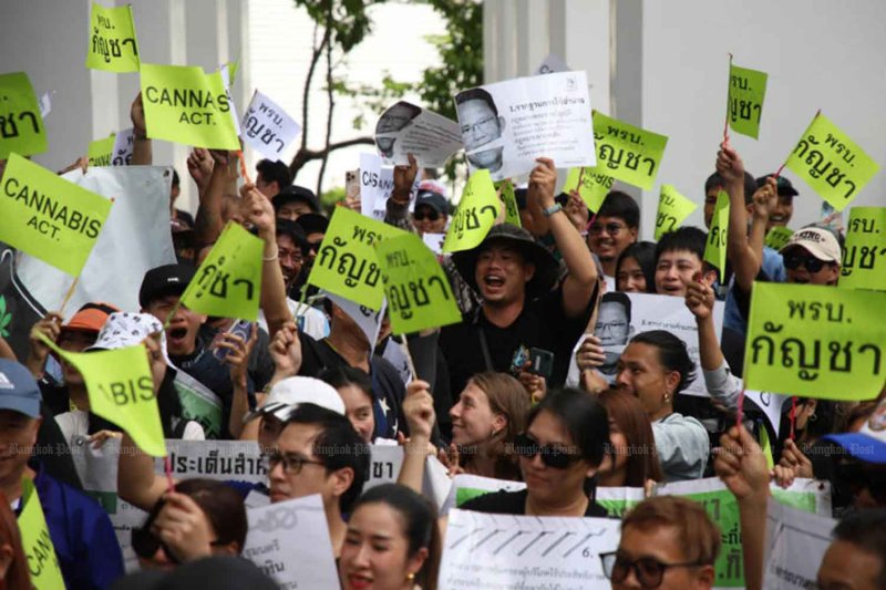 Members of the 'Writing the Future of Thai Cannabis' network express their stance on the attempt to reclassify cannabis as a controlled herb, at the Ministry of Public Health in Nonthaburi province in July 2025. (Photo: Varuth Hirunyatheb)