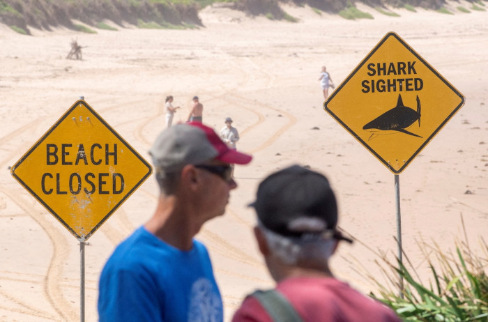 Man dies after shark bite off Western Australia