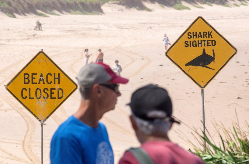 People stand next to warning signs after a surfer was attacked by a shark at Dee Why Beach in Sydney, Australia, on Jan 19, 2026. (Photo: Reuters)