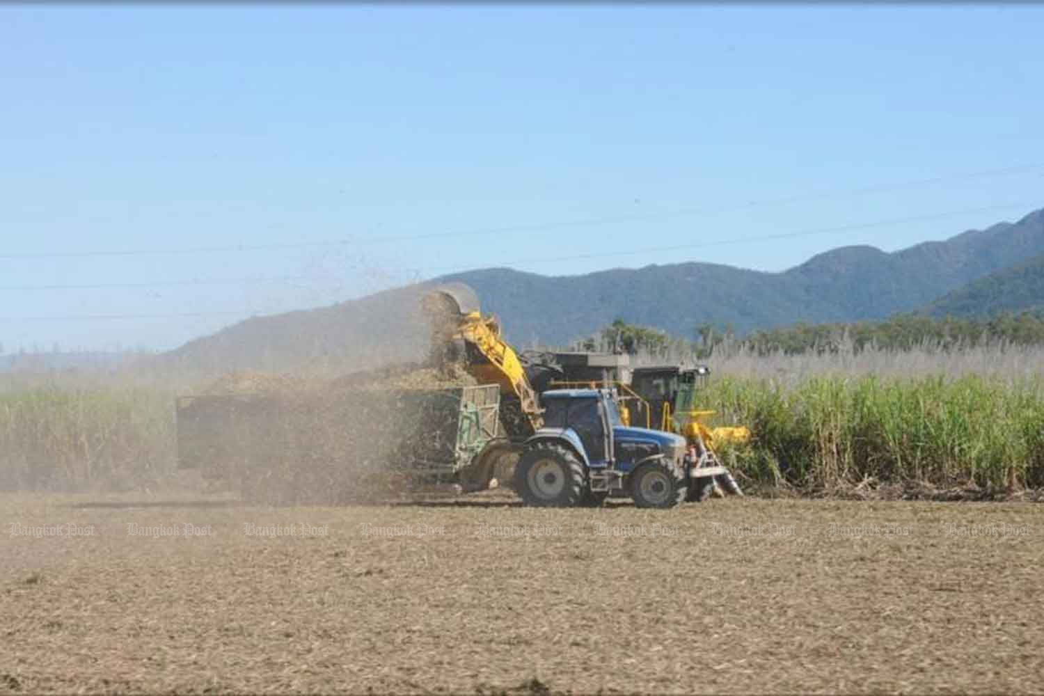 Sugarcane-derived bio-oil eyed as huge waste-saver