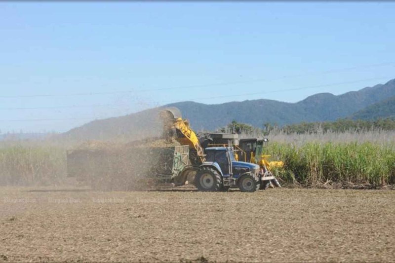 Sugarcane-derived bio-oil eyed as huge waste-saver