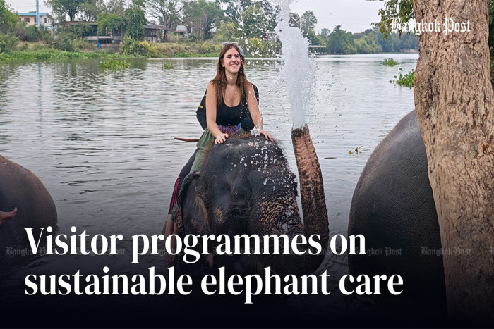 Visitor programmes on sustainable elephant care in Ayutthaya
