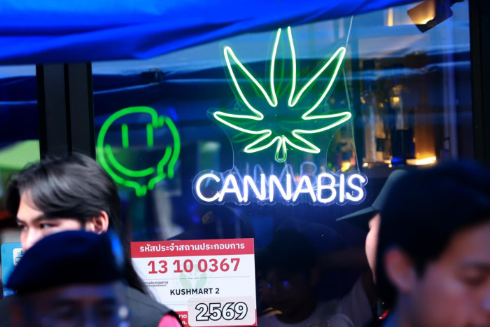 New cannabis rules have little effect