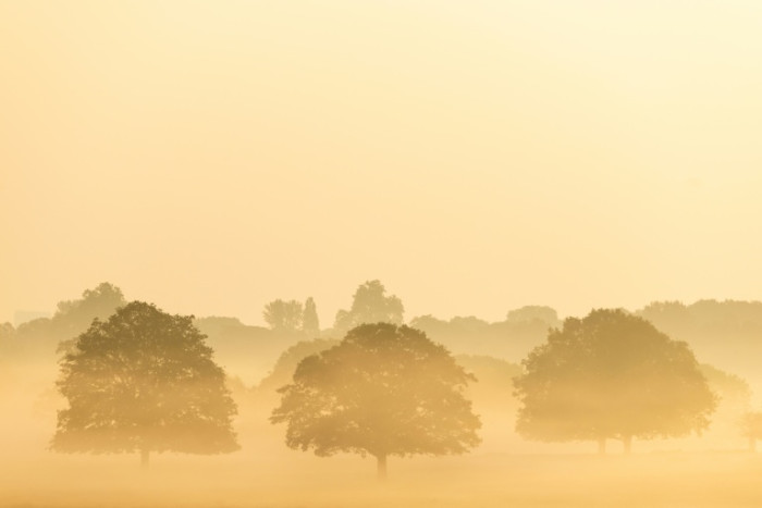 Records under threat from spring heatwave in western Europe
