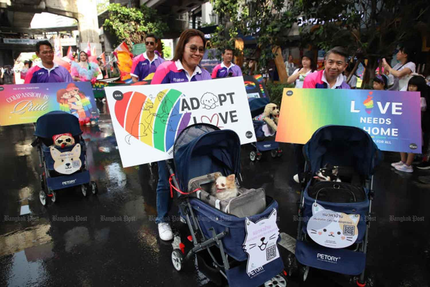 Loud and proud - Bangkok Pride Parade 2026