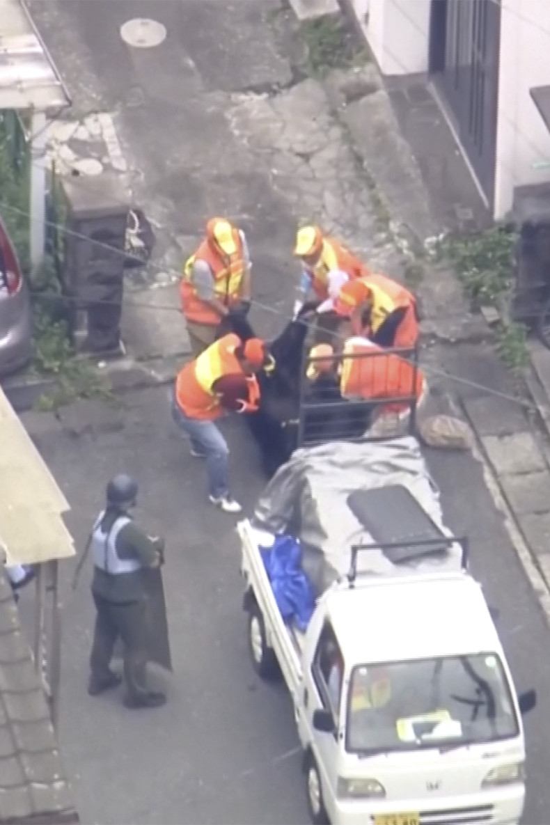 Japan bear captured after multi-day hunt closes schools