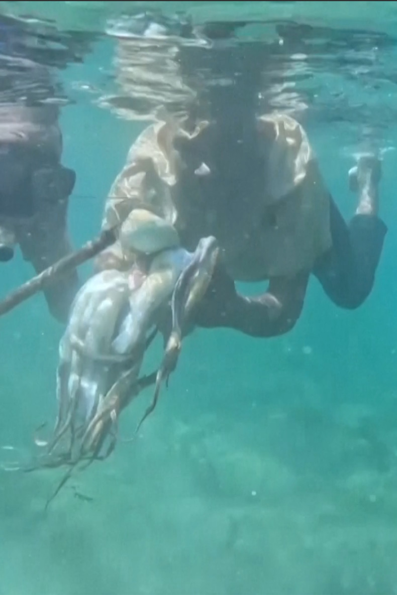 Kenya coastal fishers turn to data to manage dwindling catches