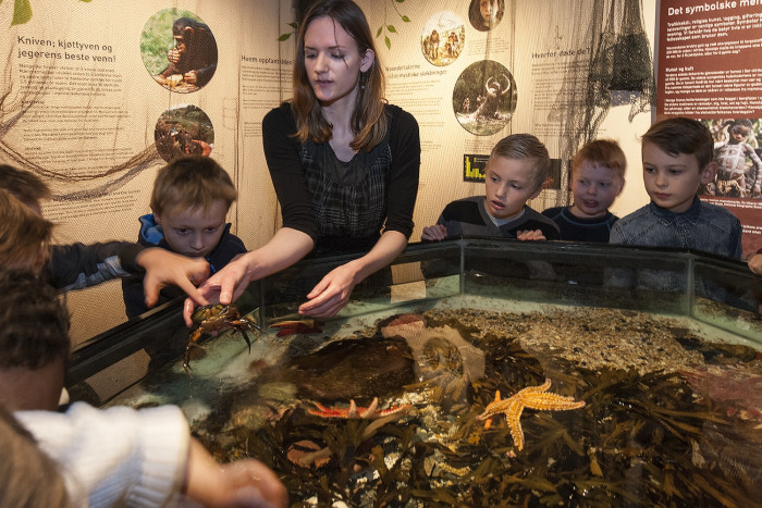 Norway severely curtails AI use in elementary school
