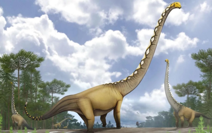 New long-necked dinosaur species discovered in Kalasin