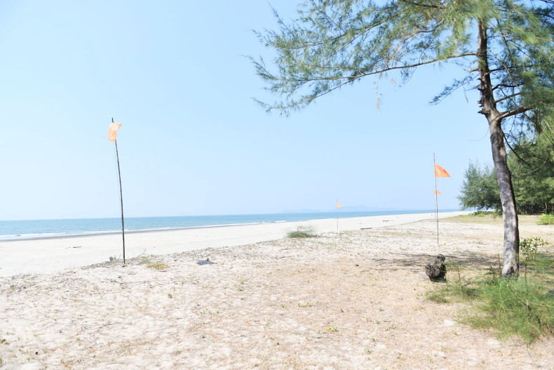 Land Bridge project to be reviewed