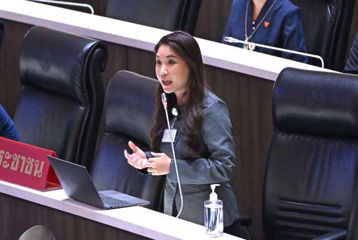 PP raises concerns over budget