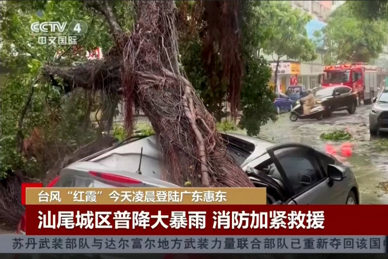 Fallen trees, flood risks as Typhoon Noul hits China's south
