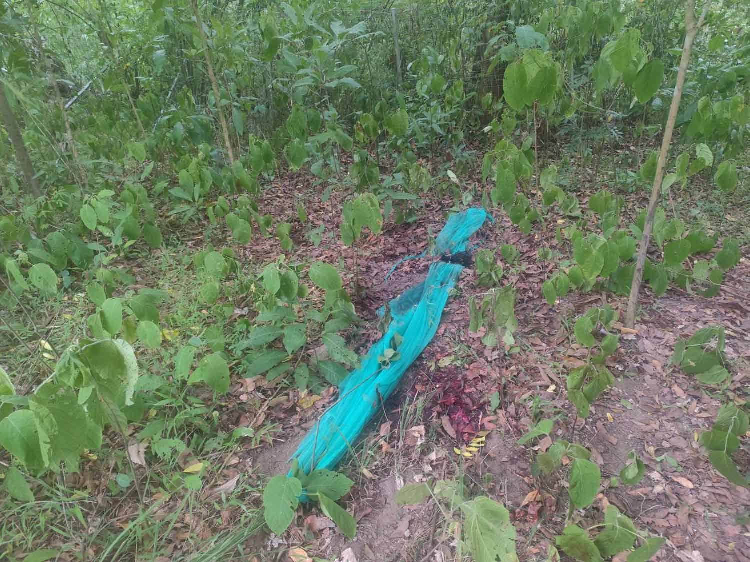 A blood stain and a fabric were found at the scene where the body was spotted.