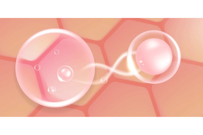 Ovagen Peptide: Reproductive Signaling, Cellular Communication, and Emerging Research Directions
