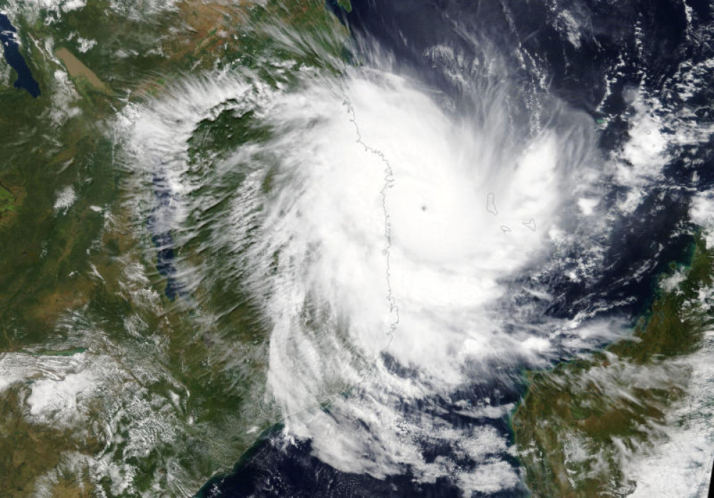 Dolphin, Dim-sum, Banyan: How tropical cyclones get their names