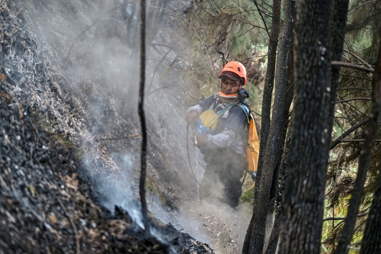 Wildfires in the Bromo Tengger Semeru National Park have burnt nearly 900 hectares in nine days. (Photo: AFP)