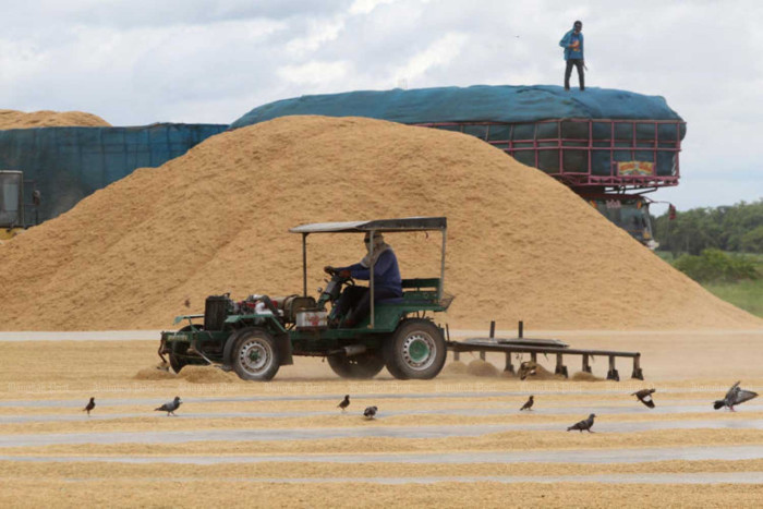 Govt urged to boost food resilience