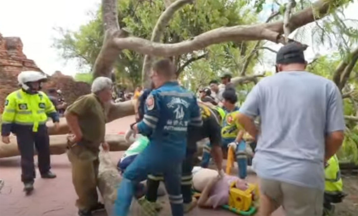 Falling tree injures 4 Spaniards at Ayutthaya historical park