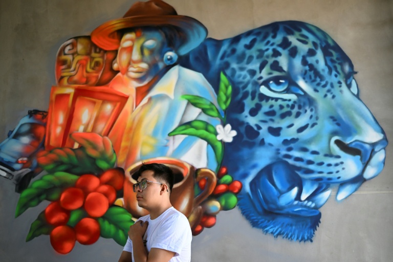 Salvadoran artist Isaac Sosa says muralists like him have 'won back the walls from the gangs' that used to terrorize neighborhoods. afp