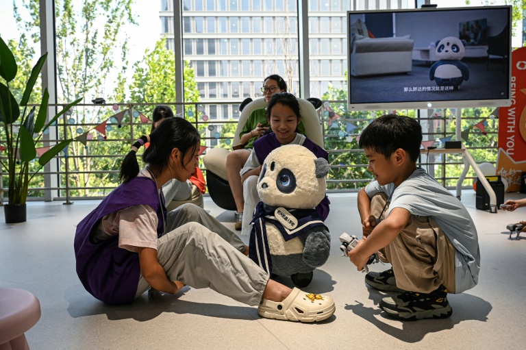 Humanoid resources: China's robots search for workforce breakthrough