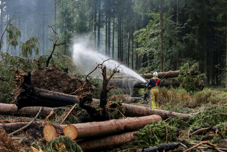 Belgium Brings Century's Largest Wildfire Under Control After Seven Days