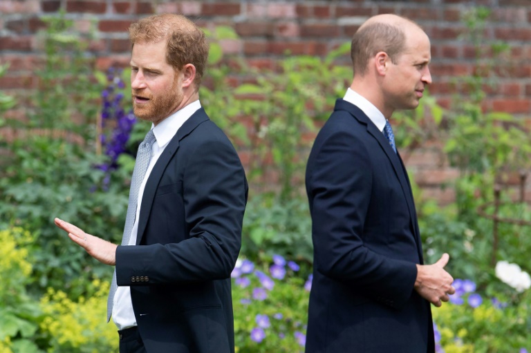 William and Harry: Britain's warring royal brothers