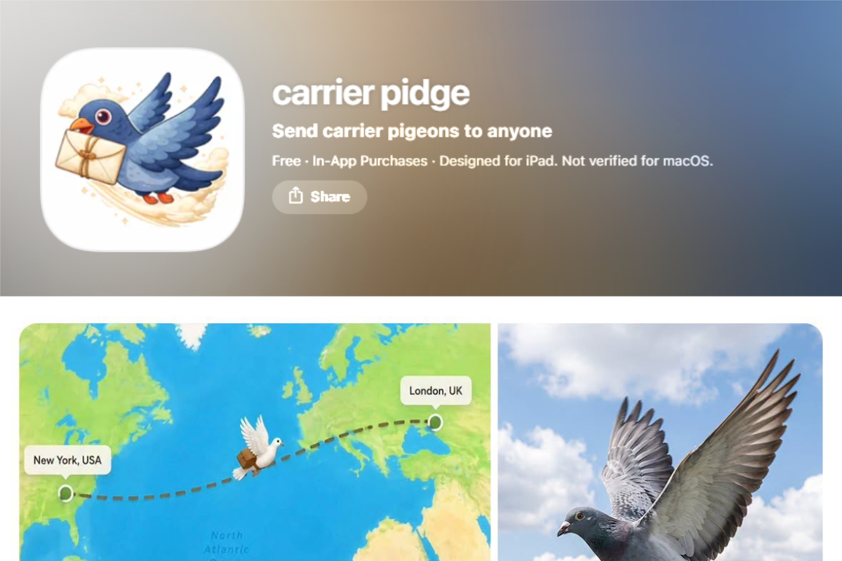 Carrier Pidge: hilarious chat app sends messages via digital birds