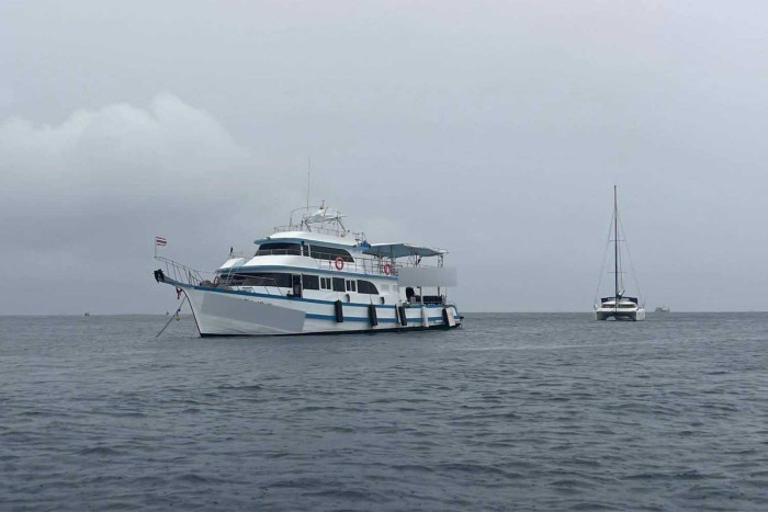 Authorities act to protect coral reefs off Phuket