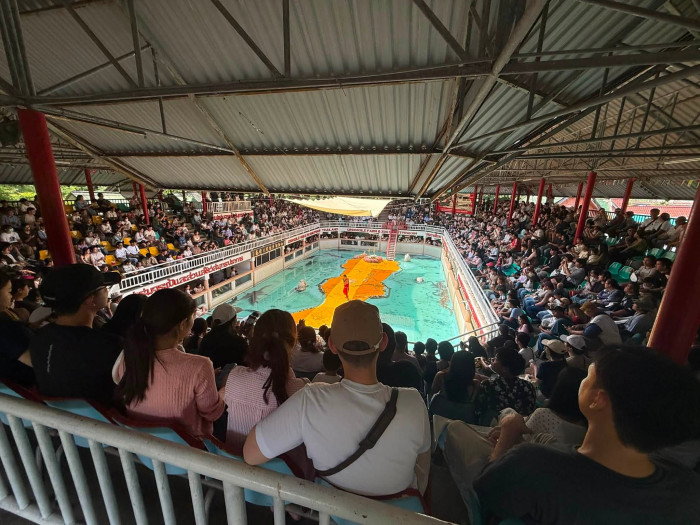 A viral video brought visitors back to a struggling zoo in Samut Prakan