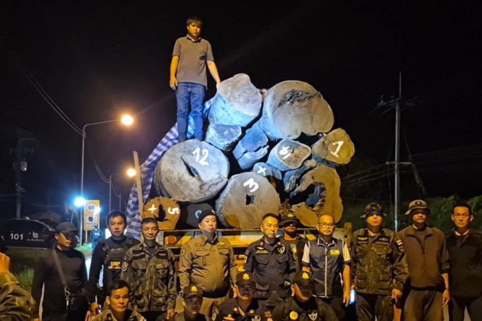 Authorities seized 109 illegal rosewood logs in Chiang Rai
