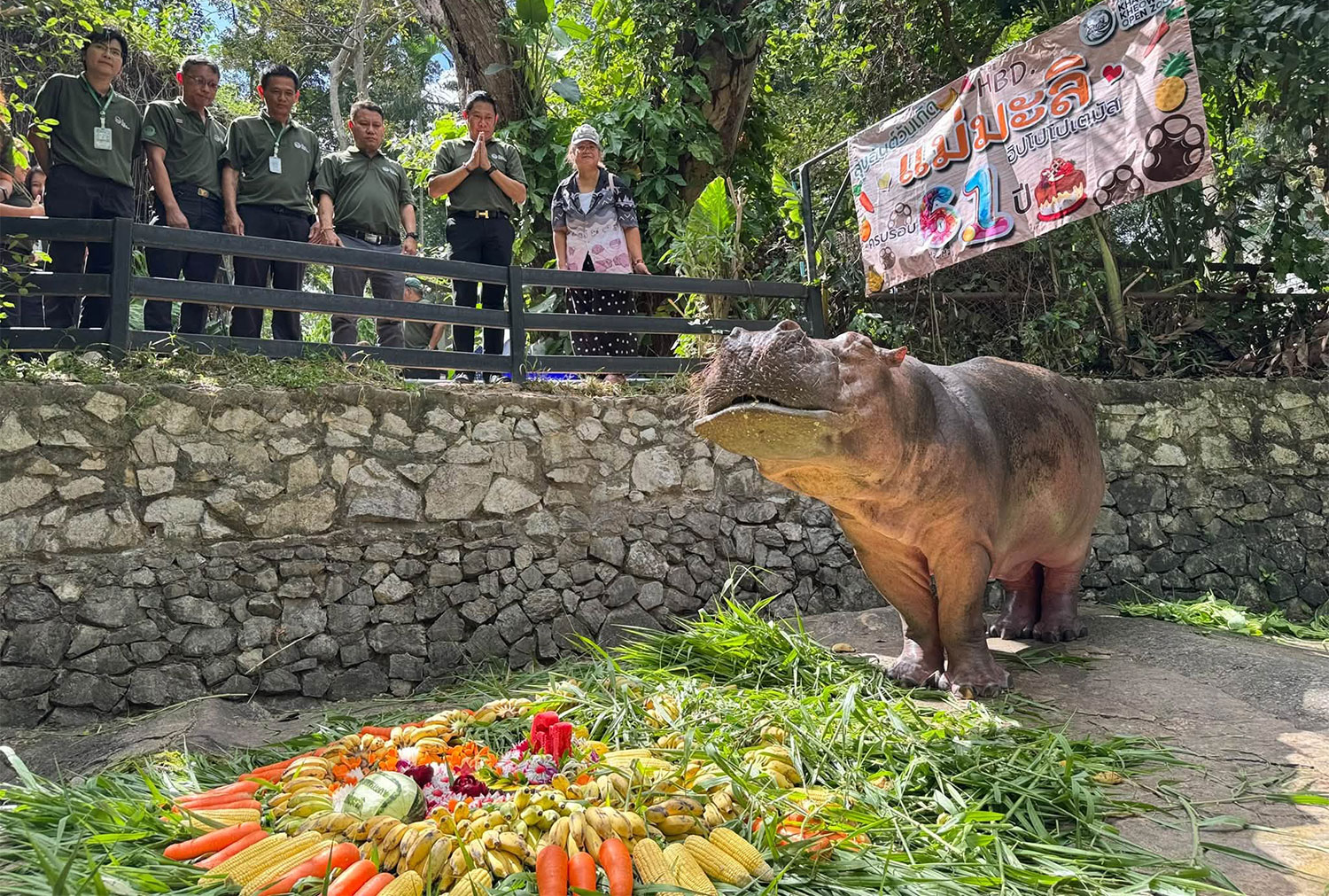 Narongwit Chodchoi, director of Khao Kheow Open Zoo and staff hold a birthday celebration for Mae Mali on Tuesday. (Photo: Khao Kheow Open Zoo)