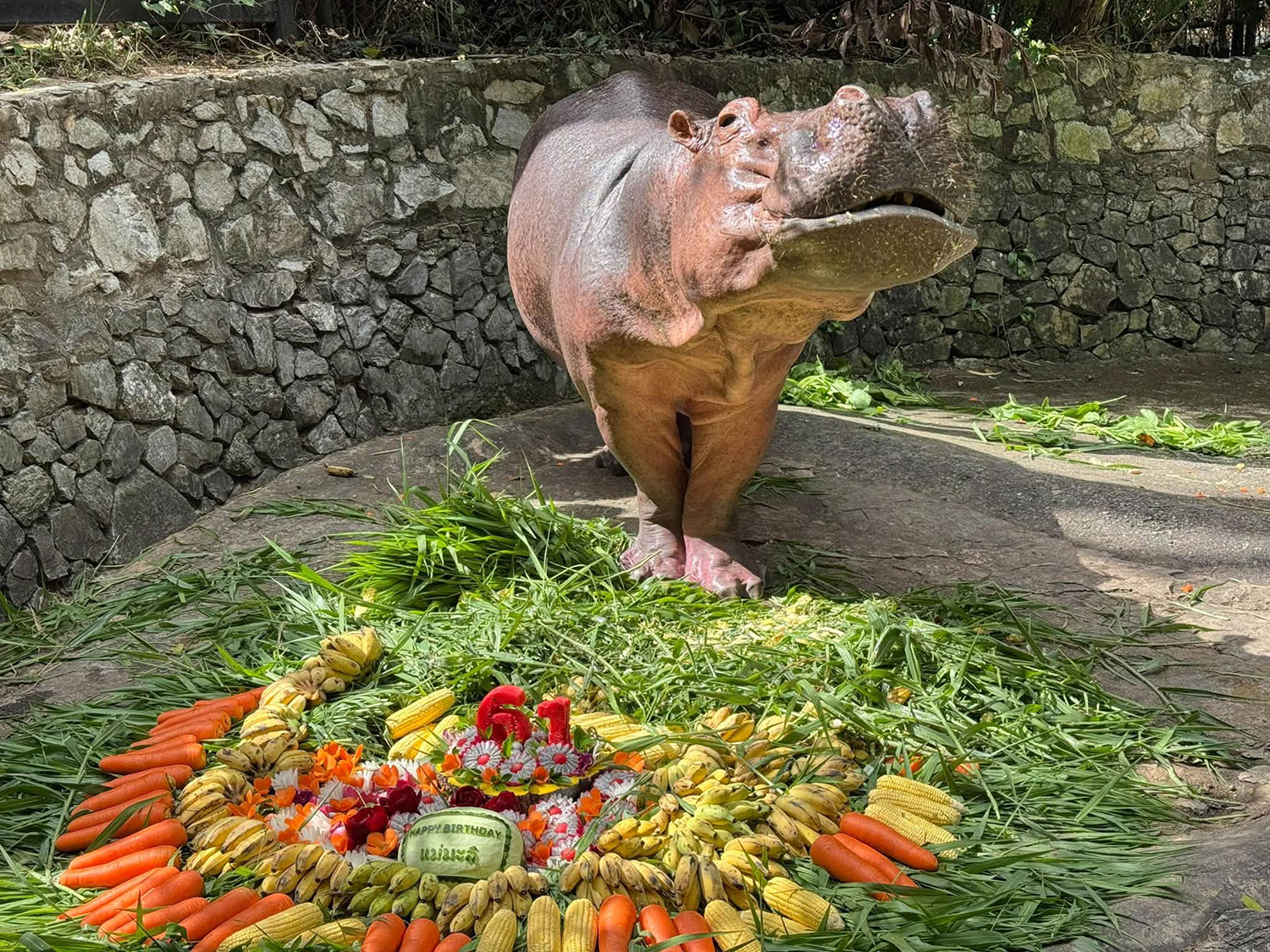 (Photo: Khao Kheow Open Zoo)