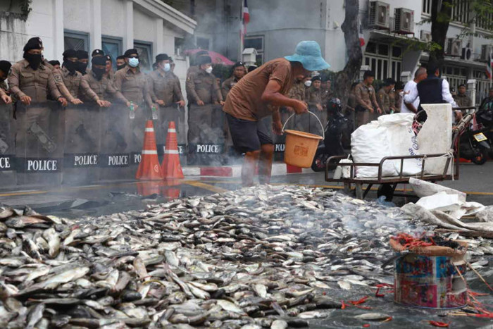 Court orders elimination of invasive blackchin tilapia